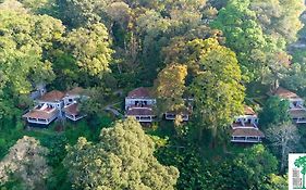 Tall Trees Resort Munnar